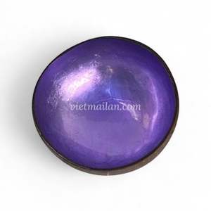 Cuencos de Coco Lacados Ecológicos, Cuenco Natural de Cáscara de Coco con Acabado Lacado para Venta al por Mayor - Product Image 4