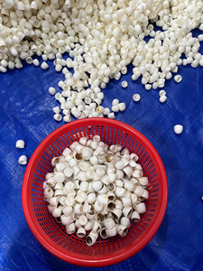 Capullos de Seda Natural de Alta Calidad de Vietnam, Grado para el Cuidado de la Piel, Compra al por Mayor - Product Image 2