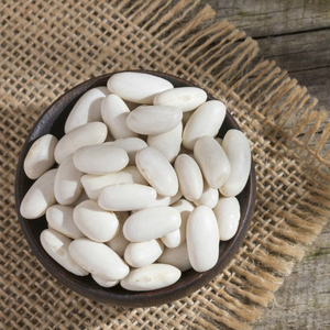 Granos de azúcar blanco seco cultivados naturales de frijol de riñón blanco de alta calidad - Product Image 6