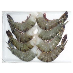 Camarones Tigre Congelados HLSO - Proveedor Mayorista de Camarones Tigre HLSO al por Mayor - Product Image 2