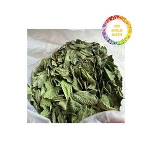 Té de Hoja de Guayaba Producido en Vietnam con Origen Directo de la Granja, Garantizando Material Botánico Seco y Limpio, Ideal para los Requisitos del Comprador - Product Image 5