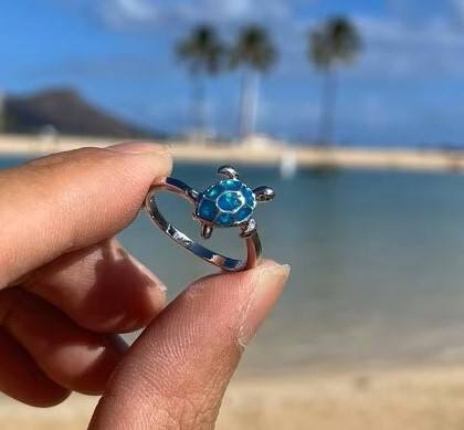 เช่นเดียวกับในภาพ