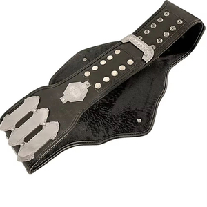 WWE World heavyweight เข็มขัดแชมป์พร้อมแผ่นทองเหลืองและสายหนังแท้คุณภาพสูง - Product Image 3