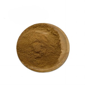 Suministro al por Mayor de Polvo de Hoja de Senna 100% Puro de Alta Calidad, Grado Alimenticio, Extracto Natural de Hoja de Senna Seca a Precio Económico - Product Image 4
