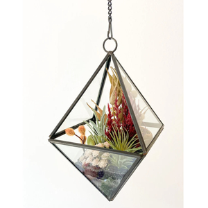 Design exclusif les mieux notés Vintage nouveauté Vase en verre transparent suspendu Terrarium bordure en laiton noir fini pour la décoration de la maison - Product Image 1