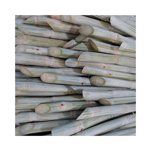 BÂTON DE CANNE À SUCRE NATURELLE DU VIETNAM Jus de canne à sucre en bouteille congelé de haute qualité de 99GD - Product Image 4