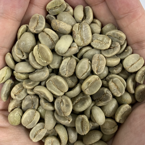 ออราบิก้าออแกนิคจากเวียดนามน้ำผึ้งแปรรูปคั่วแสงขนาดกลางไม่ผสมกาแฟแบบมีเอกลักษณ์ - Product Image 4