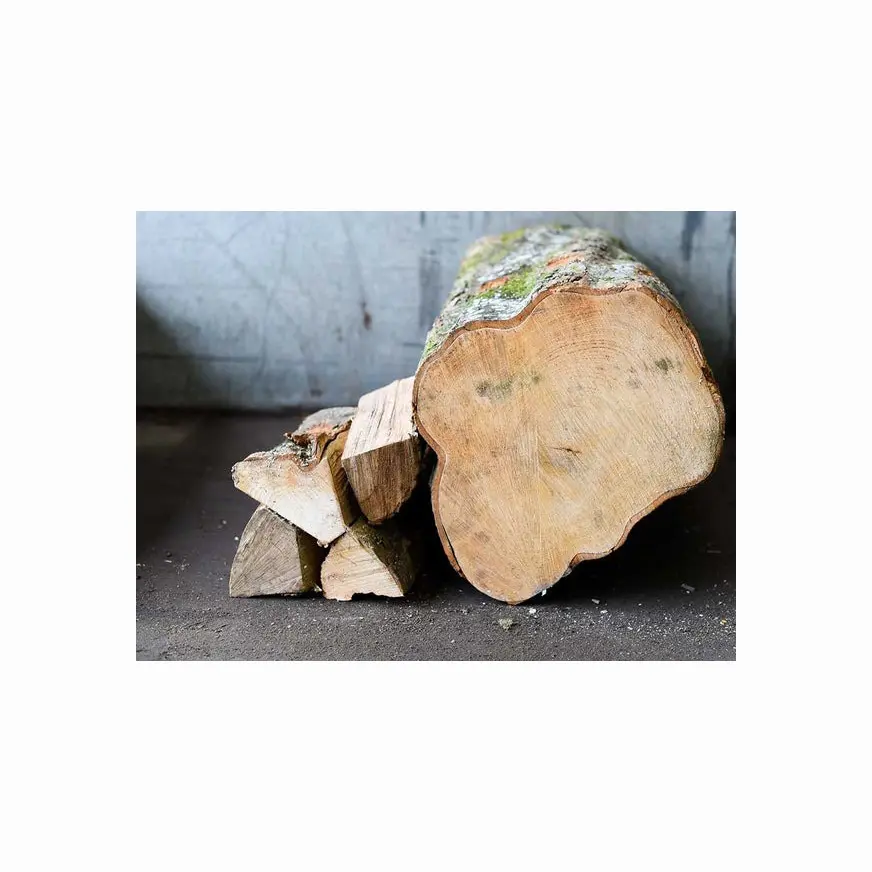 Commercio all'ingrosso di pino abete rosso betulla frassino tronchi/legname di legno tronchi e legno di eucalipto tronchi di legno/legno grezzo