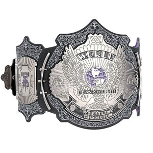Ceintures de championnat d'arts martiaux unisexes en acier inoxydable les plus exigeantes à vendre par Wish Tell International Service OEM en vrac - Product Image 5