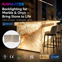 Feuille LED flexible RAYMATES UL ETL 2700K ultra-mince, feuille de rétroéclairage LED 24V pour plafond, escalier et îlot