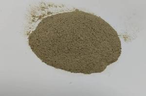 Bulk Bacopa Extract <b>Powder</b> Premium Quality 55% USP for Industrial Applications for Best Wholesale Price - Product Image 2
