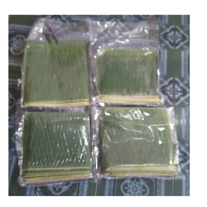 Proveedor de hojas de plátano congeladas de Vietnam-Hojas de envoltura de hojas de plátano naturales frescas 100% Calidad de exportación natural para la industria alimentaria - Product Image 5