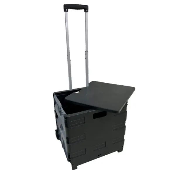 Chariot de rangement Portable pliable avec roulettes