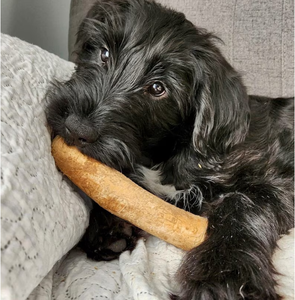 Natural <b>Wood</b> and Safe <b>Dog</b> Chew Stick Coffee <b>Wood</b> <b>Dog</b> Chew Coffee <b>Wood</b> Chew Toy From Vietnam Manufacturer - Product Image 2