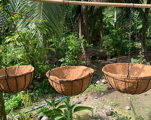 Cesta Colgante de Fibra de Coco al Mejor Precio para Jardinería y Decoración del Hogar - Product Image 2