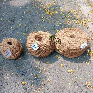 เชือกมะพร้าวตามสั่งความยาวคุณภาพสูงสำหรับสวนเชือกมะพร้าวผู้ผลิตในเวียดนาม - Product Image 3