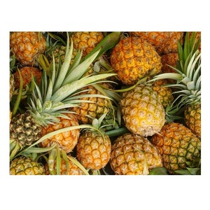 <b>Fresh</b> <b>Pineapple</b> Wholesale - Premium Quality and Competitive Price - Product Image 6