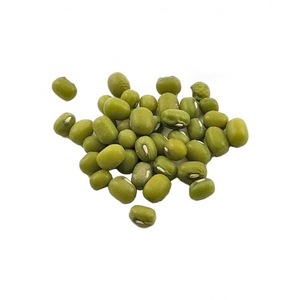 Premium Mung <b>Beans</b> High Quality Export Supply - Product Image 1