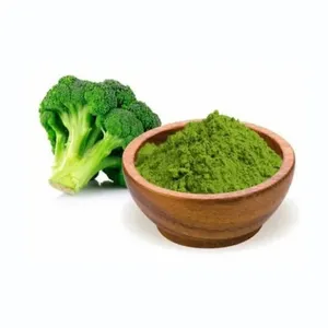 HONGDA Standard Test 10% Broccoli Extract Sulforaphane 98% Powder