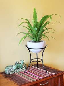 High Quality Large Indoor Outdoor Balcony Garden <b>Pot</b> Flower <b>Pots</b> Planters New Design Modern Black Metal Planter from India - Product Image 5