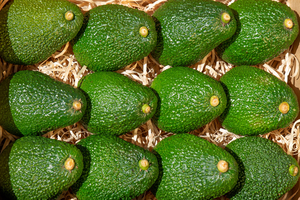 Aguacate Fresco Hass de Vietnam - Alta Calidad, 1 kg, Empacado en Caja, Marca Gimex Vietnam, Buen Precio, En Venta - Product Image 6