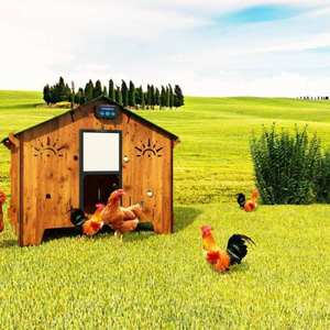 Cucciolotta Polly Farm 2XL Quadrate Solid Made in Italy High Quality Hpl Laminate External Resistant House Chicken Coop - Product Image 5