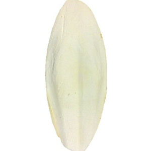 กระดูกปลาหมึกแห้งคุณภาพสูงเป็นแคลเซียมธรรมชาติสําหรับนก - Product Image 4