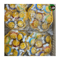 Vente en gros de poupées crochet faites à la main, jouets porte-clés en peluche pomme de terre positive pour enfants, échantillon personnalisé gratuit inclus