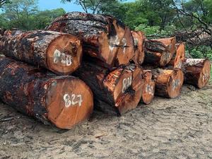 แผ่นเมลามีนไม้สนธรรมชาติซูนิสาคาร์นก้า ดีไซน์ยุโรป เป็นมิตรกับสิ่งแวดล้อม รับประกัน 1 ปี - ขายดีที่สุดในไทย ขายส่ง - Product Image 4