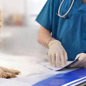 กระจกทันตกรรมสแตนเลสพร้อมด้ามจับ เครื่องมือตรวจสอบช่องปากระดับมืออาชีพสำหรับคลินิกทันตแพทย์และใช้ในบ้าน - Product Image 5