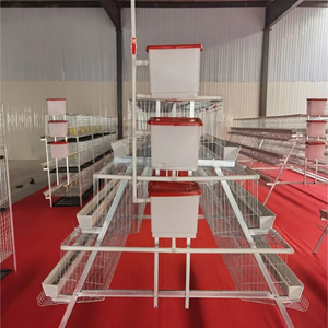 Jaula para Pollos Tipo A con Sistema Automático de Alimentación y Bebederos para Granjas de Producción de Huevos a Gran Escala - Product Image 5