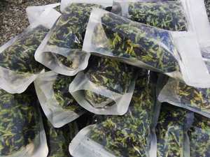 จํานวนมากส่งออกผีเสื้อดอกอัญชันสีฟ้าอัญชันคุณภาพสูงราคาดีผีเสื้อสีฟ้า - Product Image 3