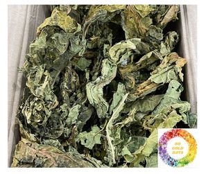 Hojas de papaya secas al mejor precio, Té natural de alta potencia cortado de granjas de Vietnam, hojas de papaya secas puras para té refrescante - Product Image 4