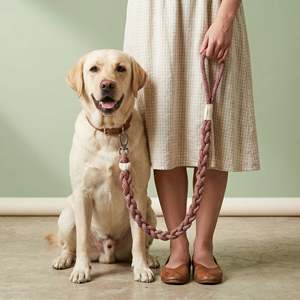 Nouvelle laisse pour chien artisanale Rose Ember, élégante et durable, avec un motif solide - Product Image 4