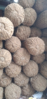Bûches de coco en fibre de coco | Oreiller en fibre de coco | Contrôle de l'érosion des nattes de coco du Vietnam 100% fibre de noix de coco