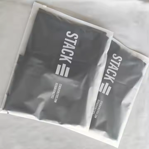 Bolsas impermeables de plástico polivinílico esmerilado reutilizables con cremallera para almacenamiento de ropa, zapatos y cosméticos, personalizables para la organización del hogar - Product Image 1