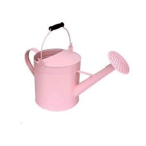 Top tendance Cuivre Placage Eau Peut Meilleure Qualité Fer Métal Nouveau Design Forme Personnalisée Arrosoir Pour La Maison Jardin Utilisation Quotidienne - Product Image 4