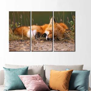Decoración de pared en lienzo impreso - Linda ilustración de zorro durmiendo - Decoración del hogar, 3P: Enmarcado tipo galería - Product Image 1