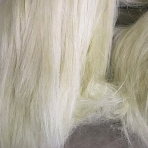 Fibre de sisal Ouganda Fibre de sisal Sisal Qualité UG - Product Image 1