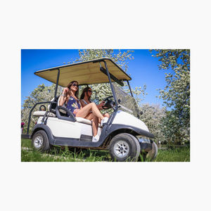 Voitures de golf électriques et à essence adaptées à un usage récréatif et industriel - Product Image 6