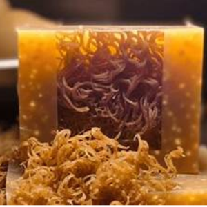 Savon de mousse de mer: nettoie naturellement, peau saine dès la racine - Product Image 3