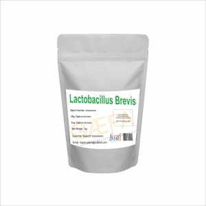 Polvo de Lactobacillus Brevis en su Forma Original - Product Image 3