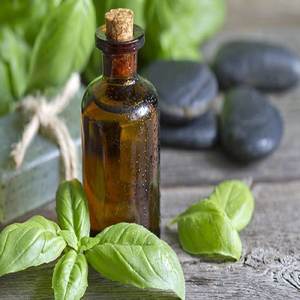 น้ำมันหอมระเหยชิกาไคธรรมชาติ100% กลิ่นสดชื่นราคาดีที่สุดบรรจุขนาด25kgs และ180kgs - Product Image 1