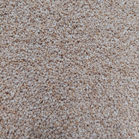 Graines de sésame blanches décortiquées AD, 99% pures, de qualité supérieure, séchées, à haute teneur en huile, origine indienne, conditionnées en 250g, 500g, 1kg