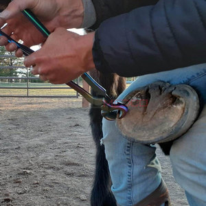 Coupe-ongles pour chevaux en acier inoxydable allemand de haute qualité, durable, fabriqué au Pakistan, vente en gros, réutilisable, coupe-ongles pour équidés SIGAL MEDCO - Product Image 5