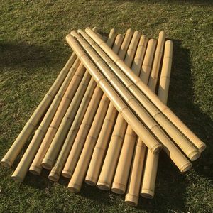 Poteaux de bambou séchés traités pour clôture extérieure et support de jardin - Product Image 1