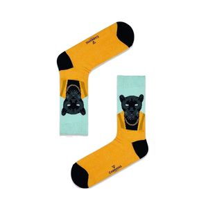 Colorful Striped White Weaving Homewear Sports <b>Socks</b> Regular Right TR Type 1 Wash for Unisex - Product Image 1