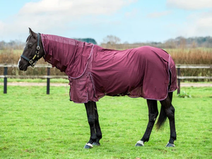 Lightweight Summer Fly Sheet with Breathable Mesh Fabric for Horses Ideal for Fly Protection and Comfort - Product Image 6
