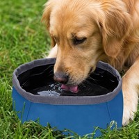 Bol pour chien portable, pliable, moderne et élégant, imperméable, écologique, récipient pour l'eau et la nourriture pour animaux de compagnie, voyage, randonnée, camping
