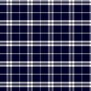 ผ้าป๊อปลินลายตารางทอพรีเมียมย้อมเส้นด้าย สำหรับเสื้อเชิ้ตเด็กชายและเด็กหญิง สำหรับการส่งออกต่างประเทศ - Product Image 1
